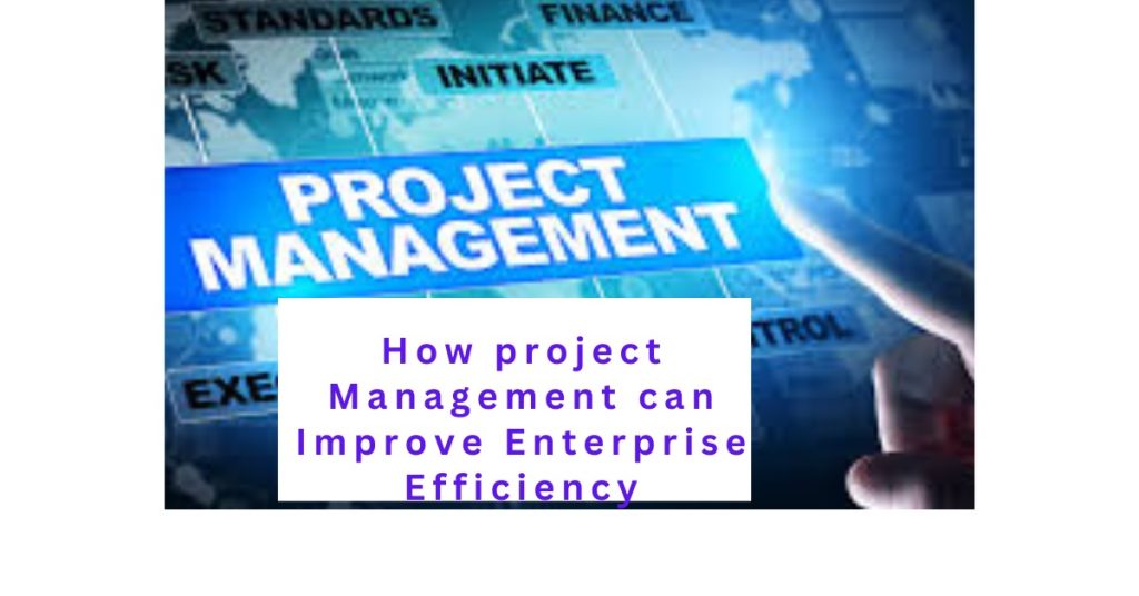 How Project Management can Improve Enterprise Efficiency